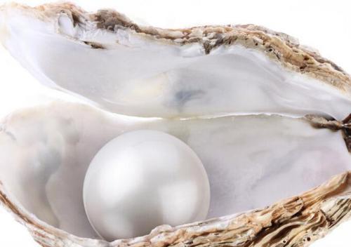 东吴末帝的波斯大珍珠