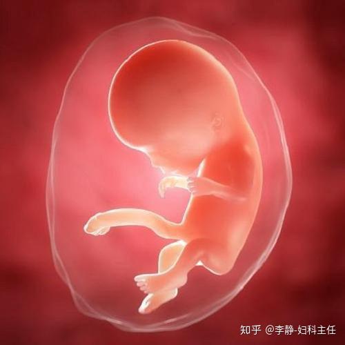 胎儿在妈妈肚子里吃什么,做什么?为什么会排绿色的便便