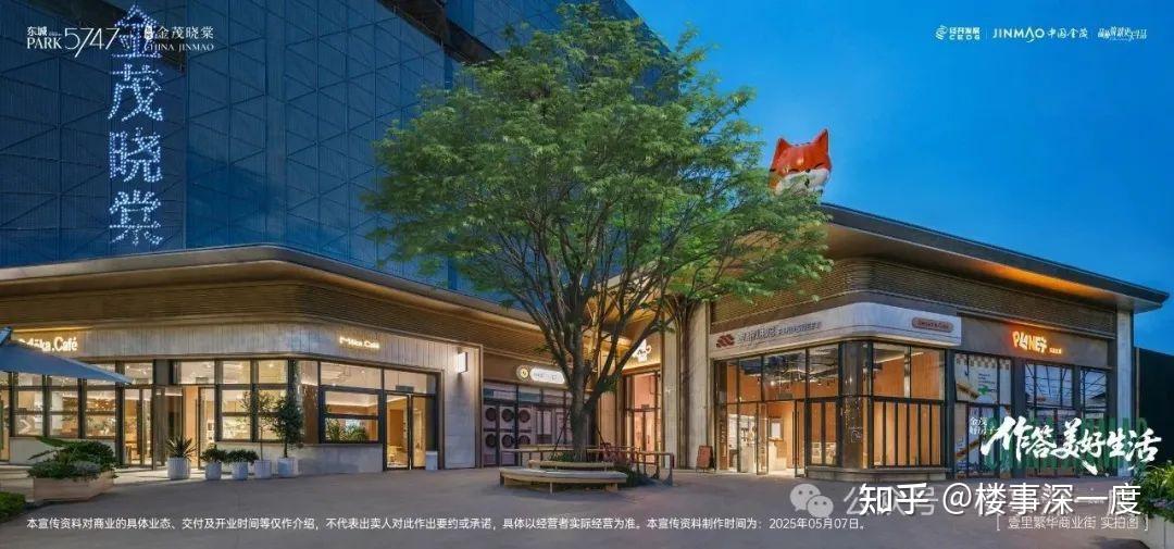 东城金茂晓棠|非一般顶流的诞生 - 知乎