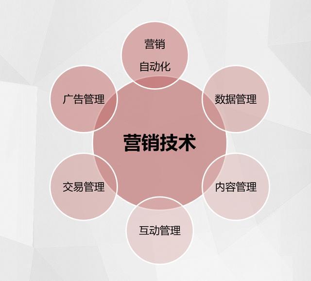 网站的市场定位_网站建设前的市场分析和定位_网站市场定位怎么写