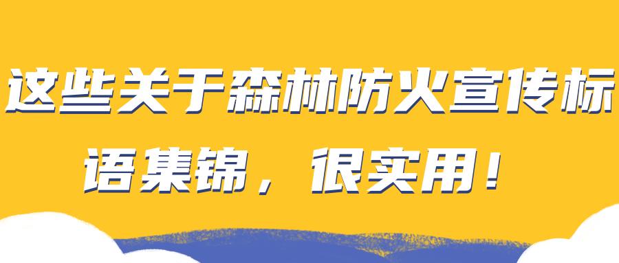 這些關於森林防火宣傳標語集錦,很實用! - 知乎