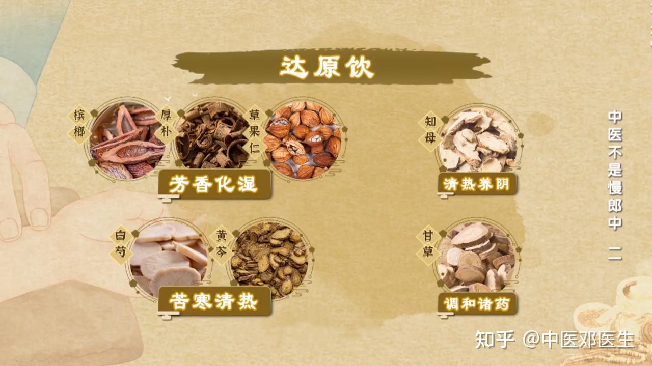 达原饮:针对不明原因的发热,感染,出现舌苔厚腻,高烧不退等症