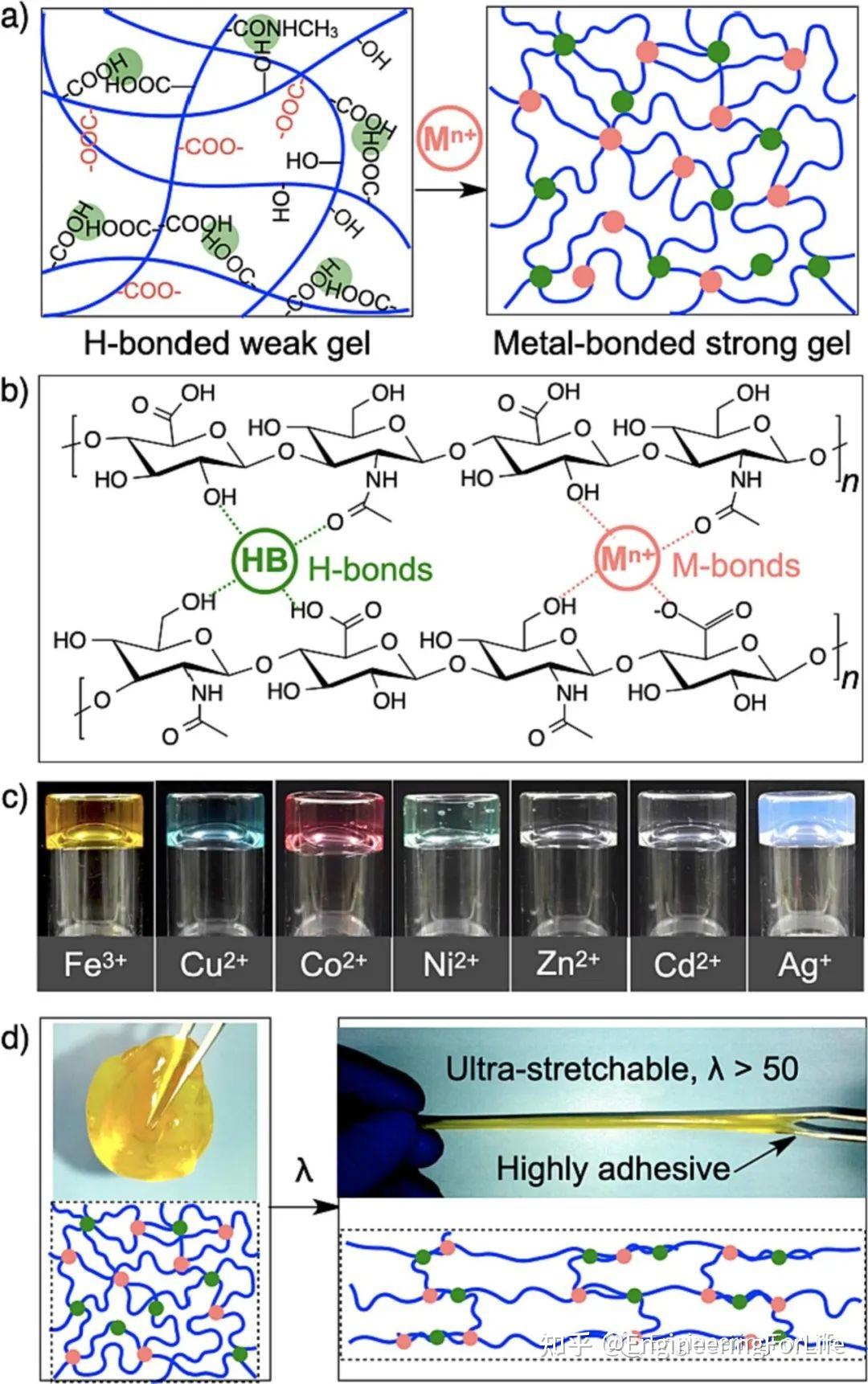 carbohydratepolymers简便快捷构建具有生物特征的金属透明质酸水凝胶