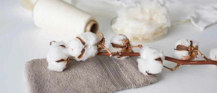 有机棉 Gmo 测试可作为standard 100 By Oeko Tex 认证的一部分 知乎