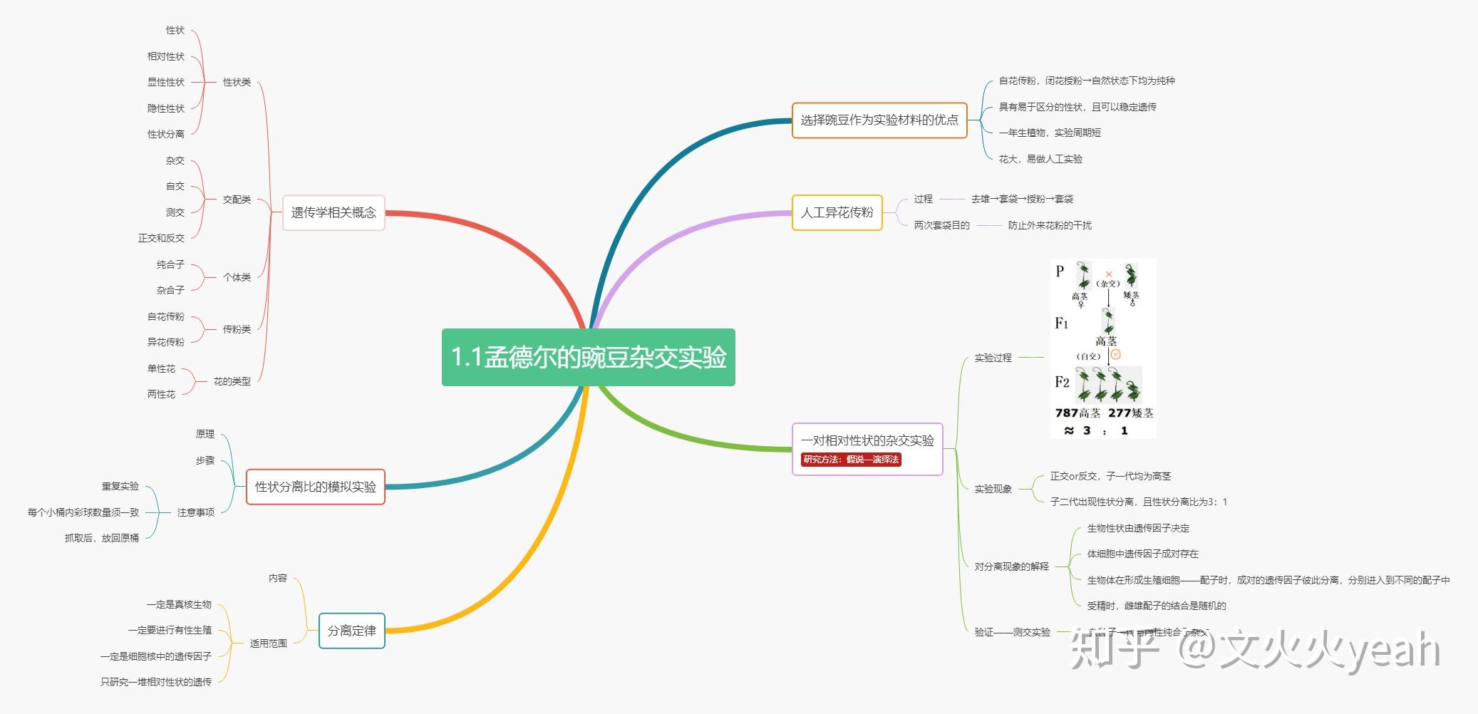 如何高效背高中生物 v2-b1a77009cb548c8c95934c86f4fb0742_r.jpg