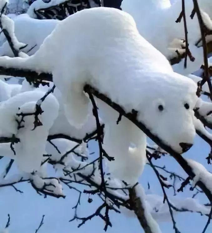 动物雪人图片大全图片