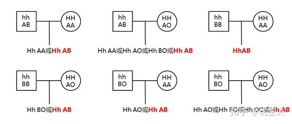爸爸a型血 妈妈b型血 孩子有可能是什么血型呢 知乎
