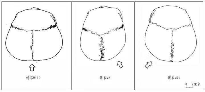 睡扁头这种审美到底是怎么来的?为什么很多北方人喜欢把头睡成扁的? - 知乎