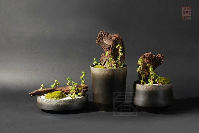 v2-b1c2570af821fffc9753ee128ae93c40_1440w.jpg?source=172ae18b