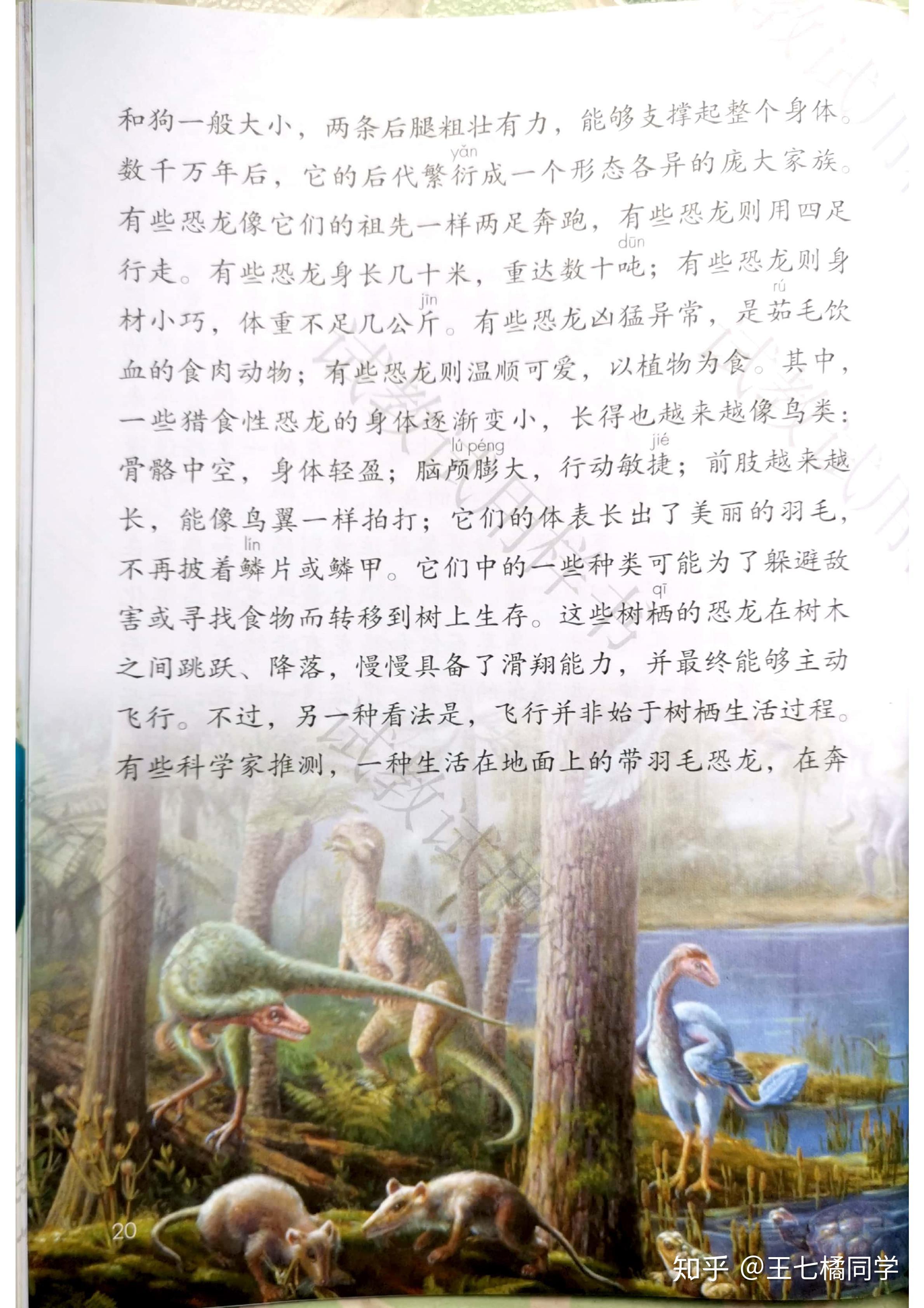 人教部编版小学四年级语文下册电子课本(家教必备电子教材)(四年级下册语文电子书人教版部编版)