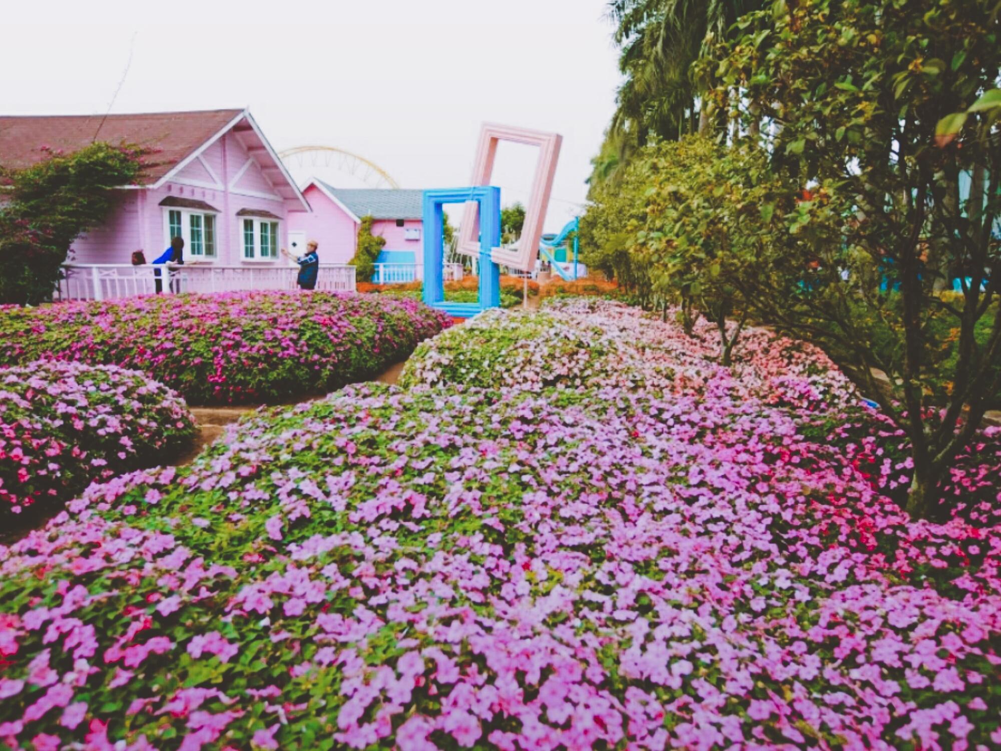 来广州必去景点的TOP排行榜