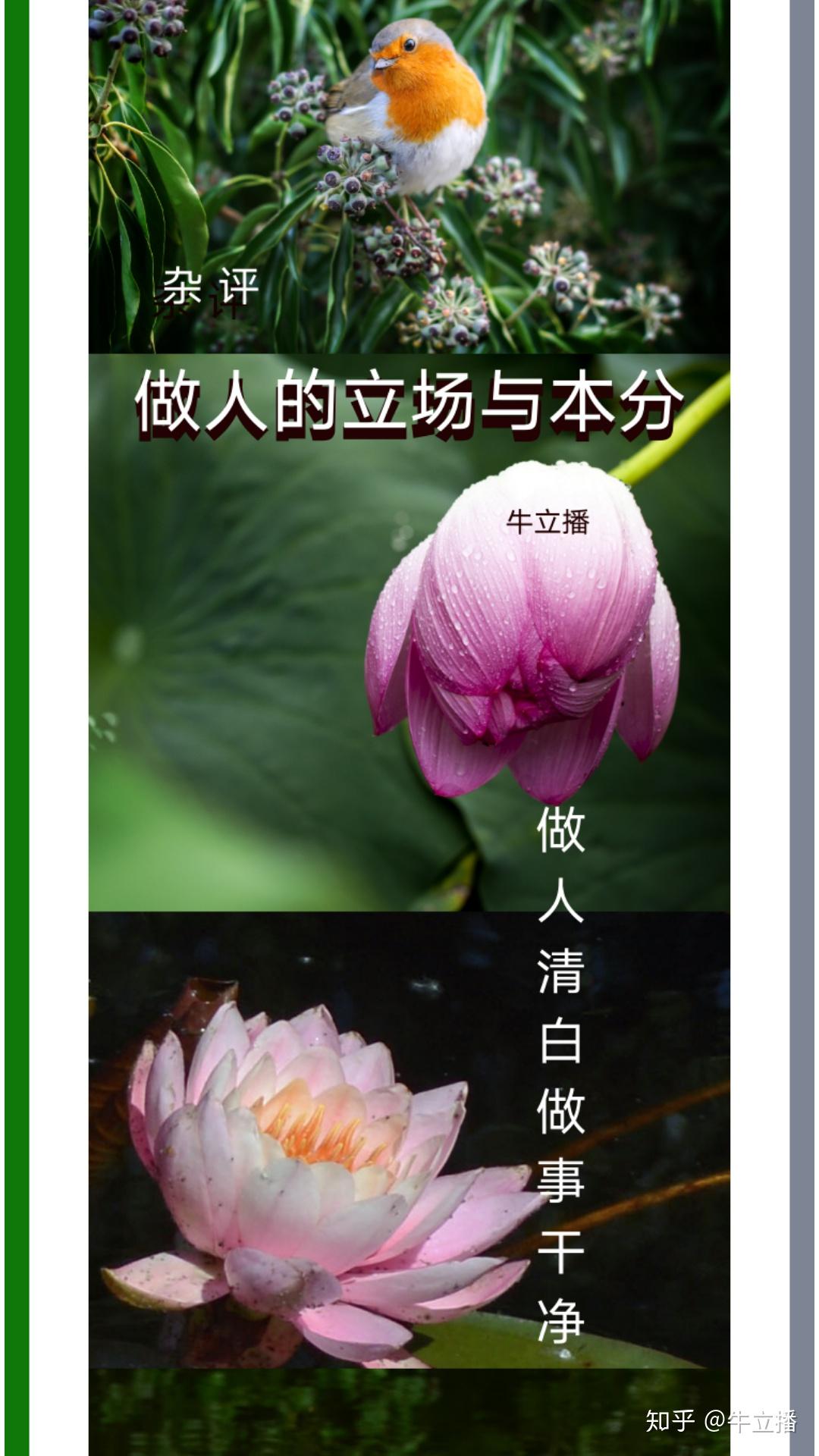 诚然,做人也是一门有着深厚内涵的社交学问,体现着一种人的价值与存在