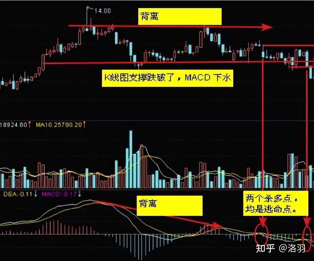 交易真正厉害的人：死记一个MACD指标，你赚钱的功力日益精进- 知乎
