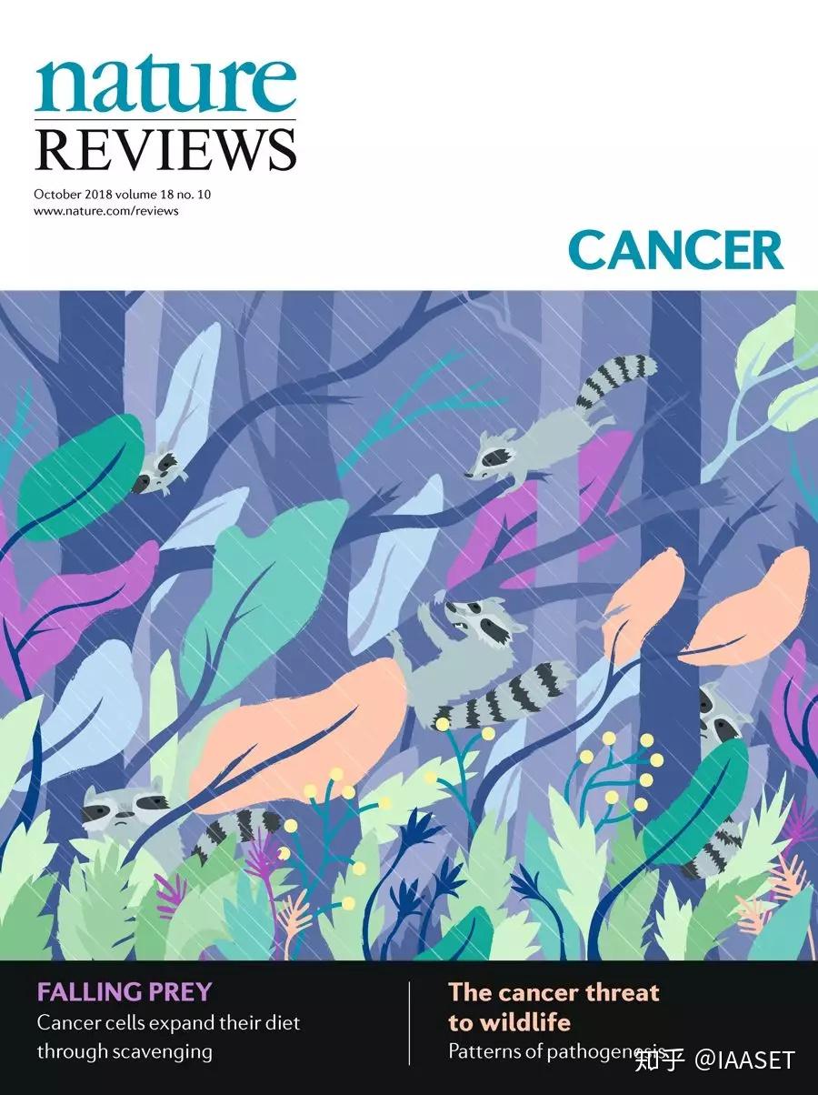 10月Nature子刊的45张封面，你pick哪一张？ 知乎