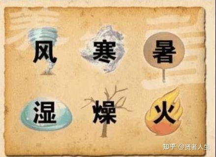 气虚体质调养:小心风邪侵身。 - 知乎