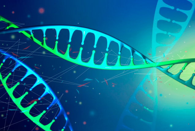 每天用Mybatis,但是Mybatis的工作原理你真的知道吗? 每天用Mybatis,但是Mybatis的工作原理你真的知道吗?