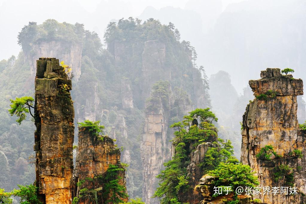 张家界森林公园袁家界景点介绍