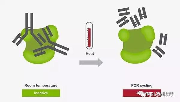 干货分享 常用pcr技术及原理 知乎