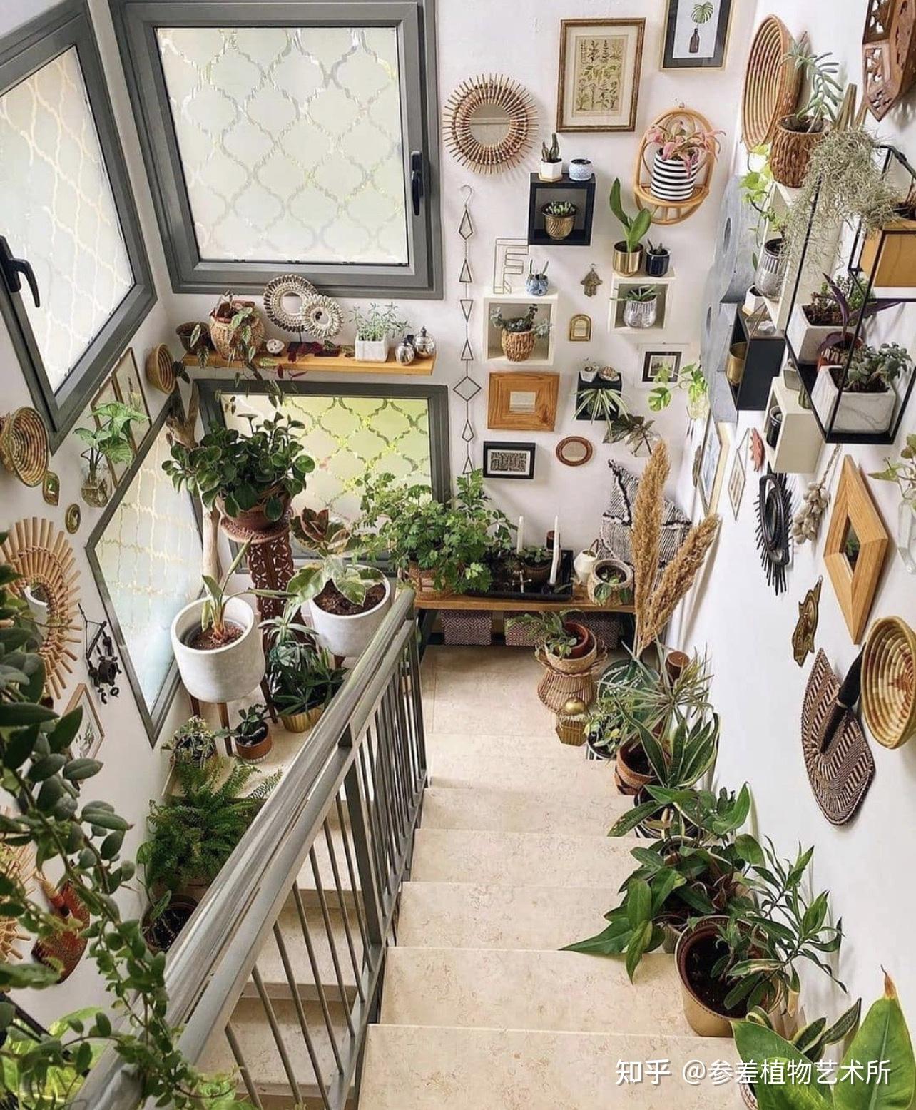 被植物治愈的瞬间 - 知乎