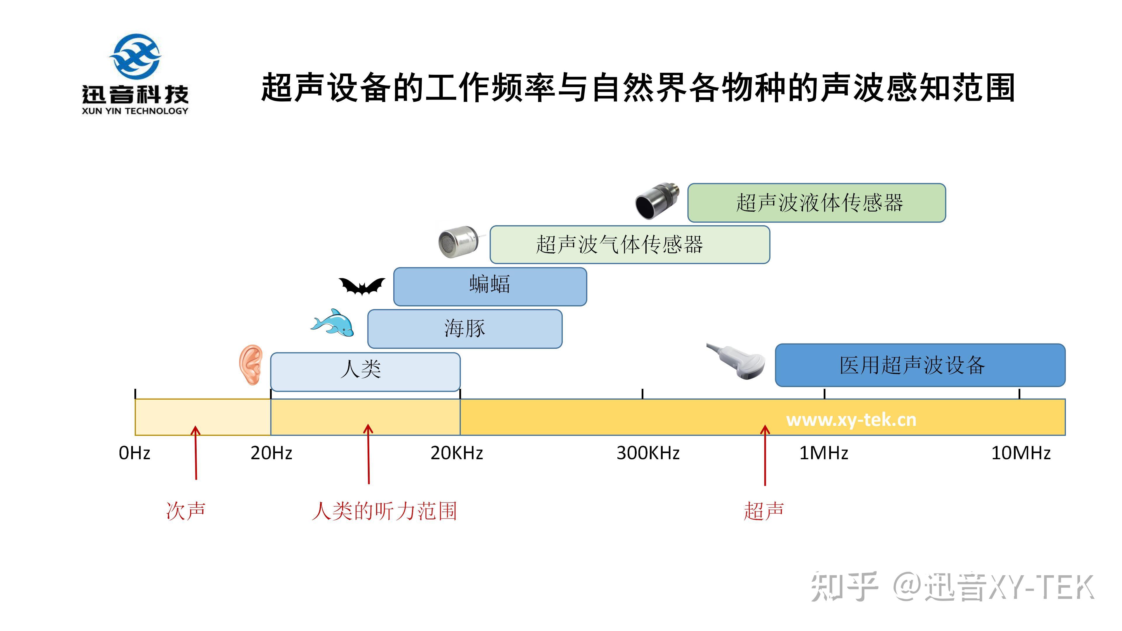 超声设备的工作频率和自然界各物种的声波感知范围有关更多超声波及