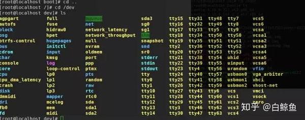 Linux系统中的data目录是什么？它有哪些用途和特点？  第1张