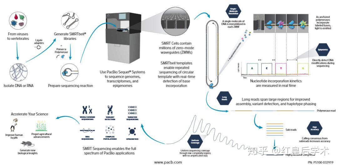 基因测序技术发展历史及一、二、三代测序技术原理和应用 - 知乎