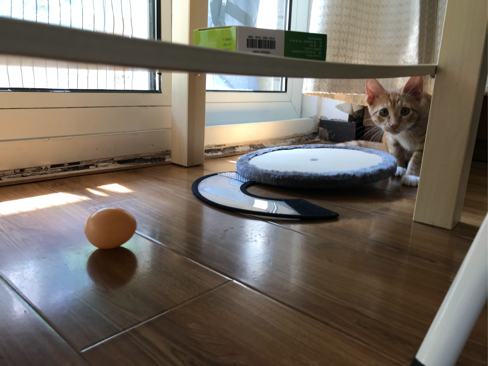 有哪些性价比很高的猫玩具?