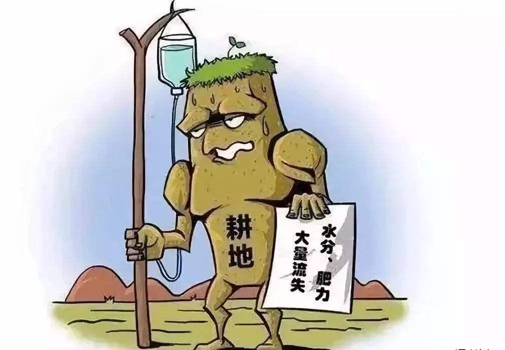 土壤养分快速检测仪哪个靠谱?