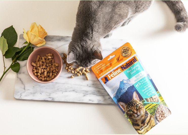 top进口猫粮推荐:进口猫粮哪里买?进口猫粮品牌推荐 - 知乎