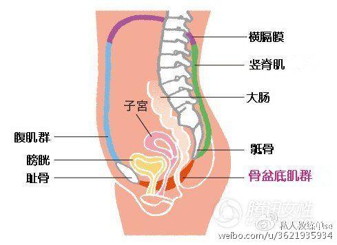 孕期耻骨联合疼痛 怎样预防改善 知乎