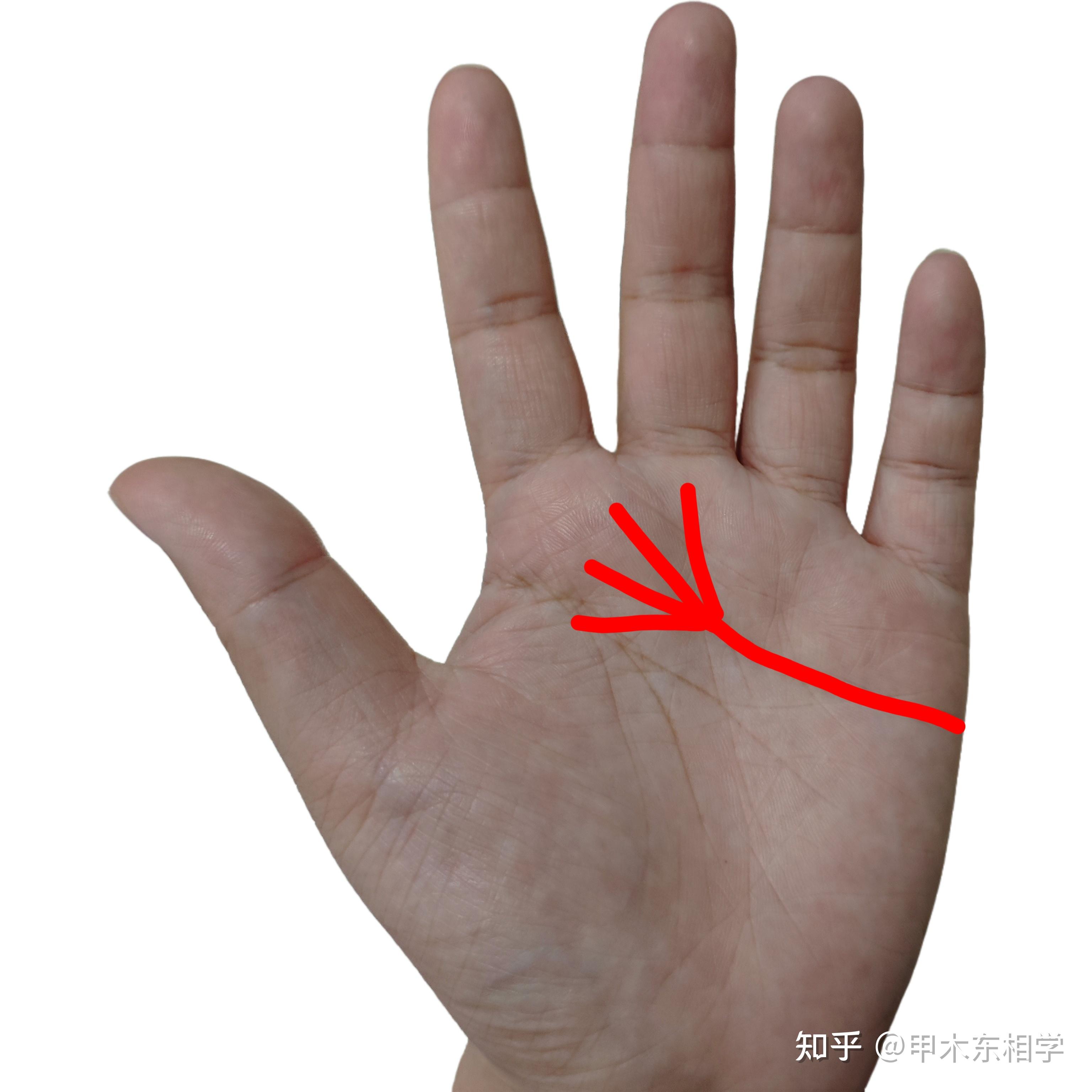 手纹看桃花，这些纹路你有吗？ - 知乎