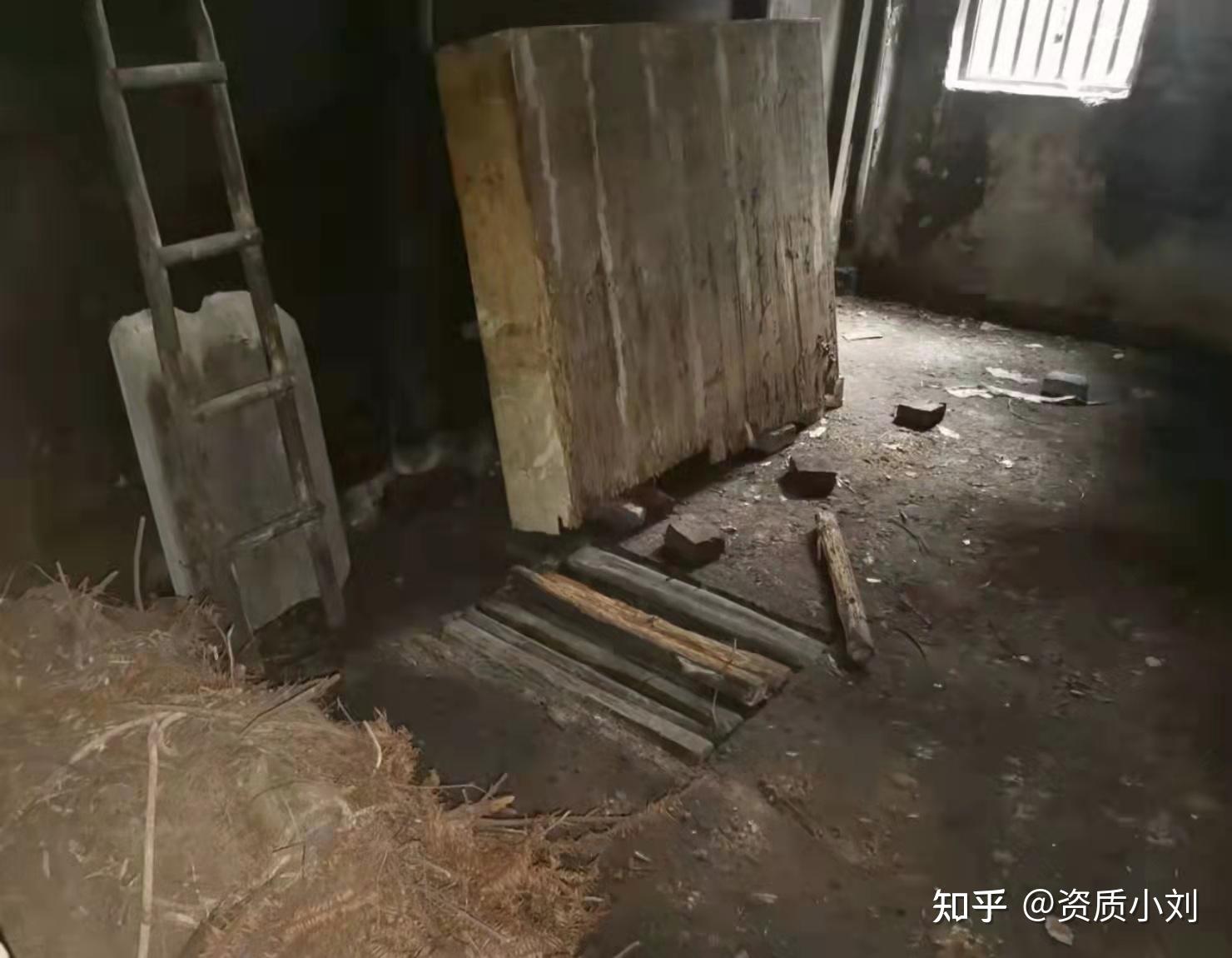 两次埋尸转移尸体33岁67男子在家中地窖内猥亵并杀害邻居11岁女孩