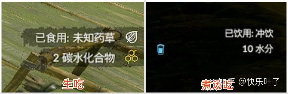 green hell《绿色地狱》主要植物及食用效果(新手向)