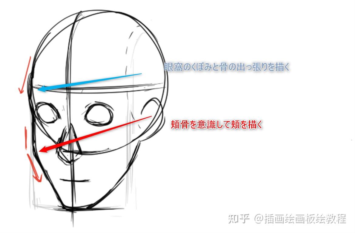 【板绘新人素材】侧脸的练习之二次元侧脸画法
