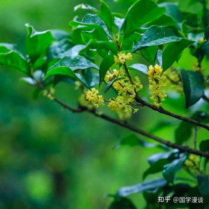 「时间」的那些雅称,美极了! - 知乎