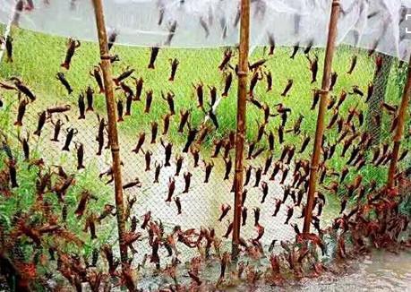 周家沟村：协作社带领乡民走出致富新路子