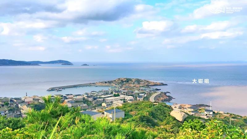 浙江嵊泗县副县长丁维东五大优势八大项目共建新型海岛目的地2020ct