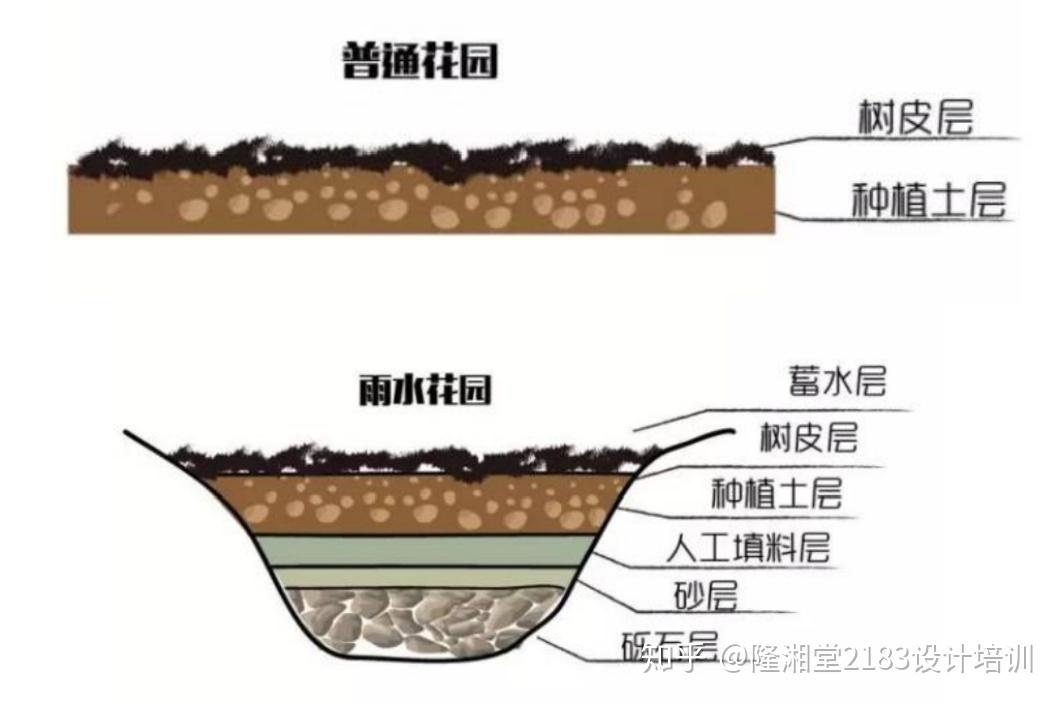 雨水花园:雨水花园和普通花园在基础建设上就有很大的差异.