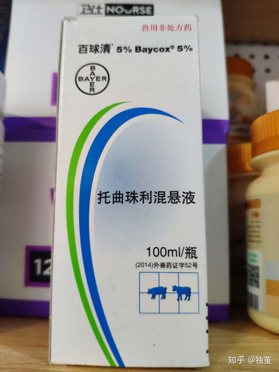 养猫七七八八的坑新手养猫指南