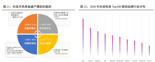 品牌榜与新锐榜：品牌成长的两条道路与它们的差异性