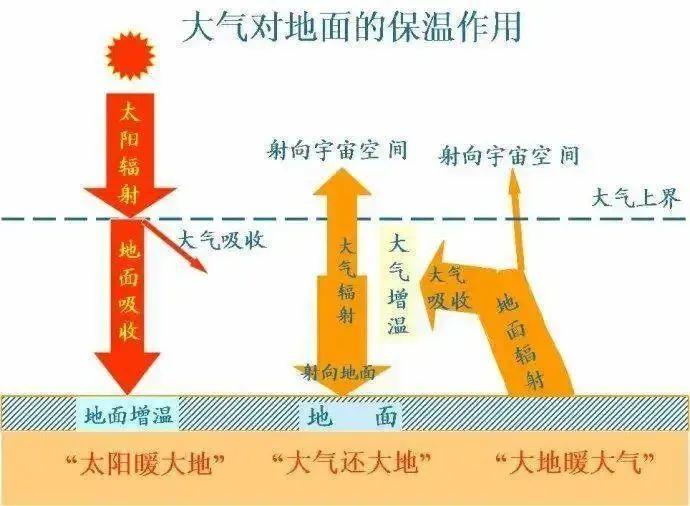 今日正式入伏!“三伏”的这些知识,你知道吗? - 知乎