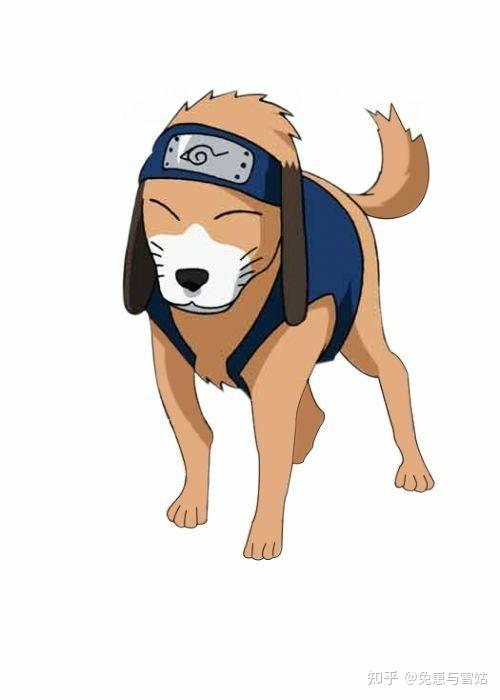 盘点那些动漫里的狗,附精美剧照! - 知乎