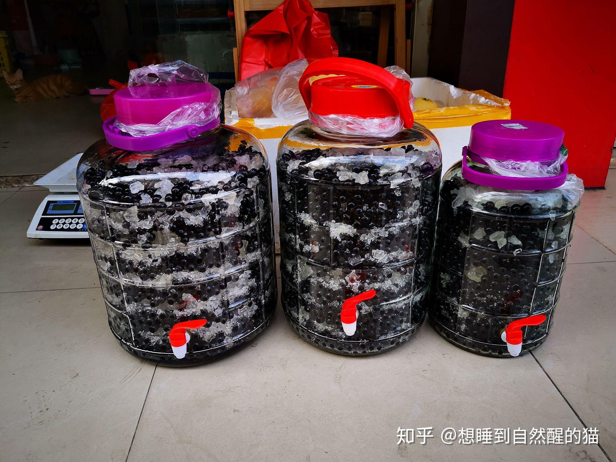 自酿葡萄酒教程