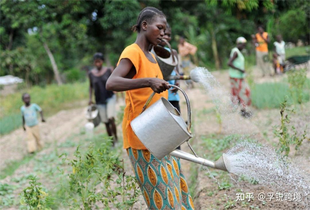 洪涝与干旱:非洲大陆正面临极端天气