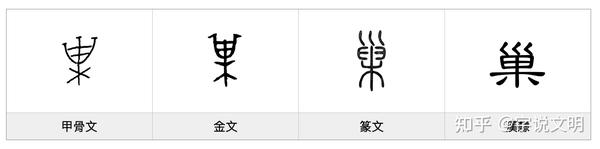 巢——每日一字·木部字 - 知乎