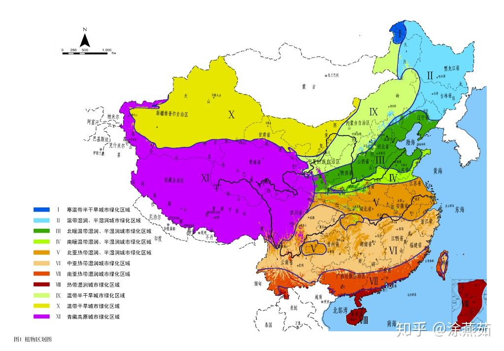 中国植被分布简图图片