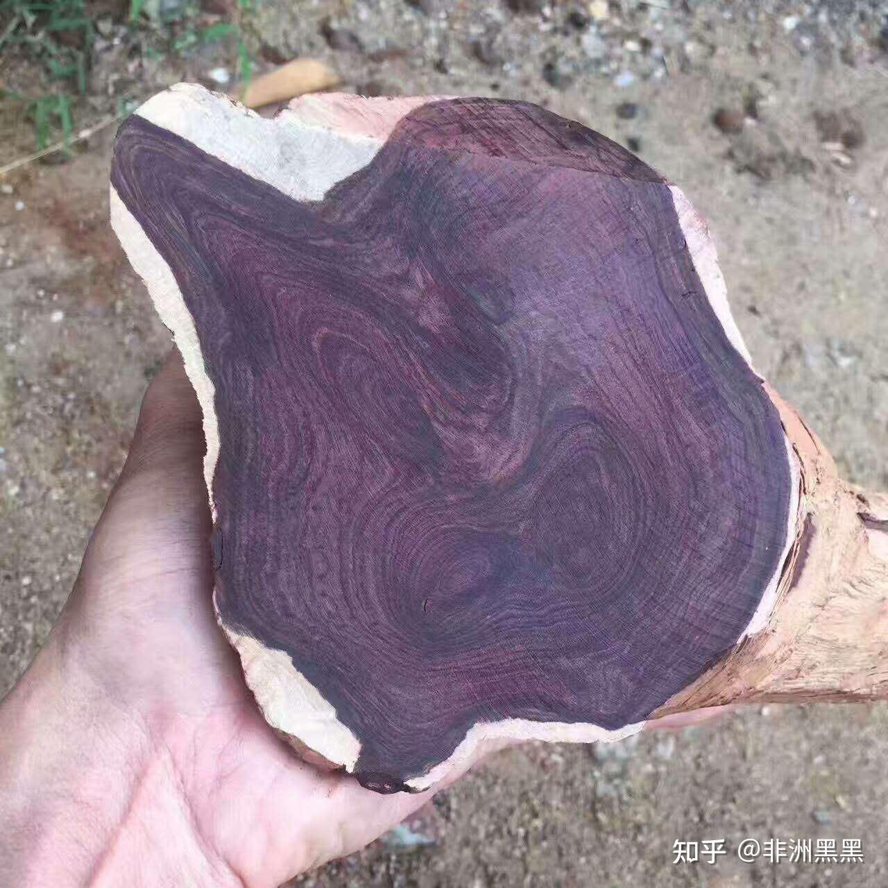 海南黄花梨糠梨油梨对比,哪个好? - 知乎