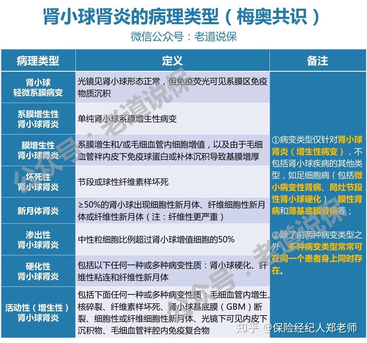2. 肾小球肾炎的病理分型