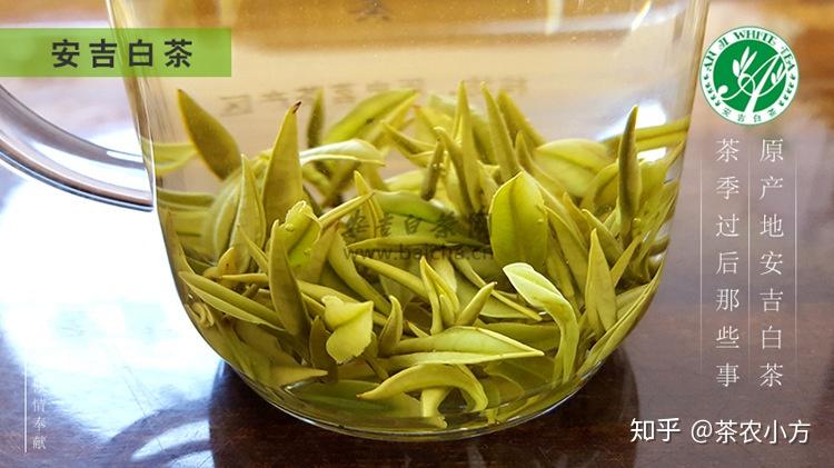 黄金芽茶叶价格一般在多少礼盒