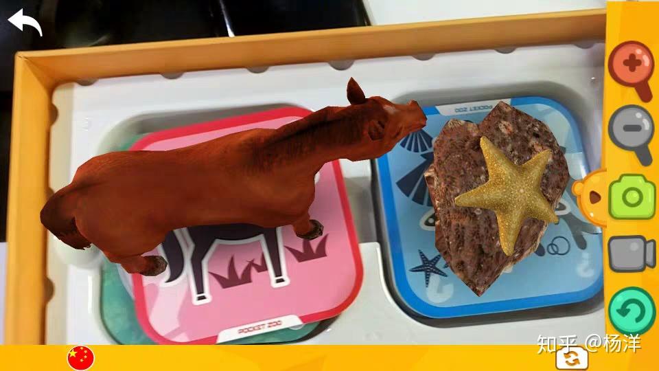 口袋动物园 - 知乎